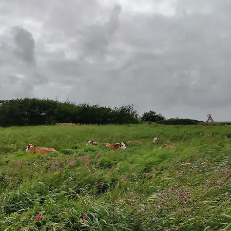 Villa-amby Close To Need For * Ringkøbing